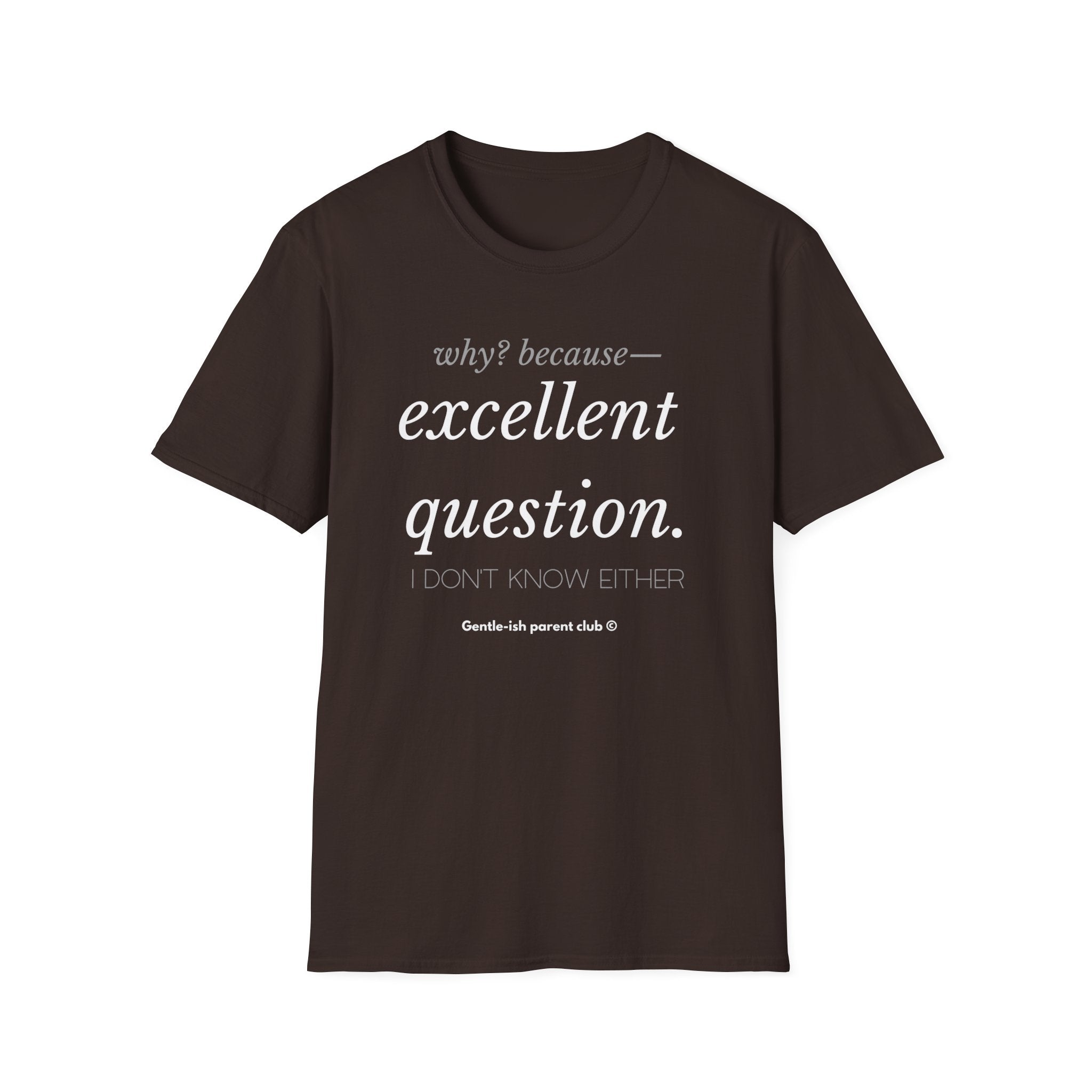 Why? Because —Excellent Question T-Shirt