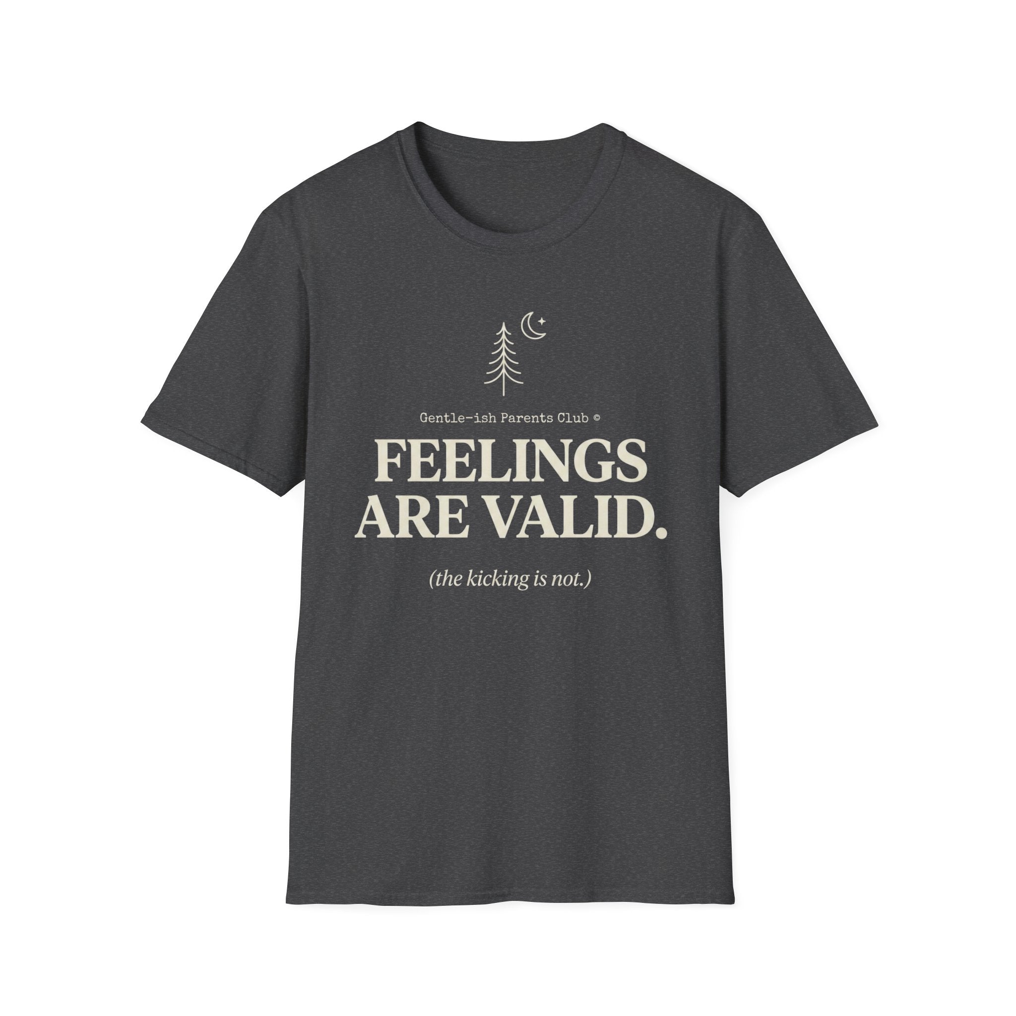 Feelings Are Valid T- Shirt