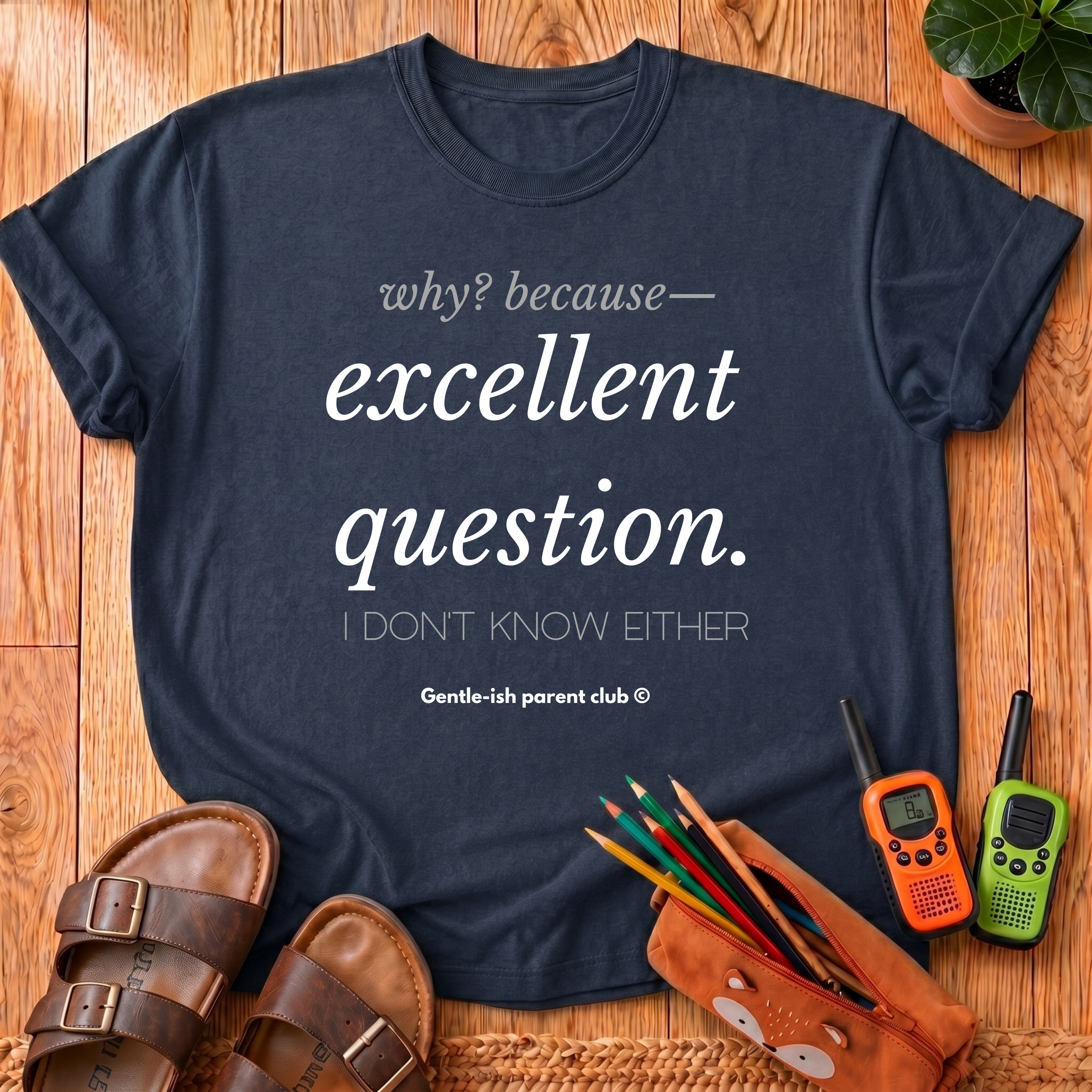 Excellent Question T-Shirt