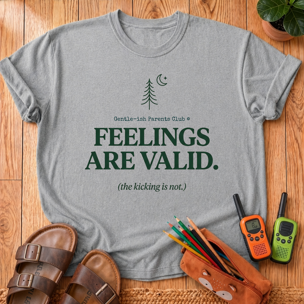 Feelings Are Valid T- Shirt