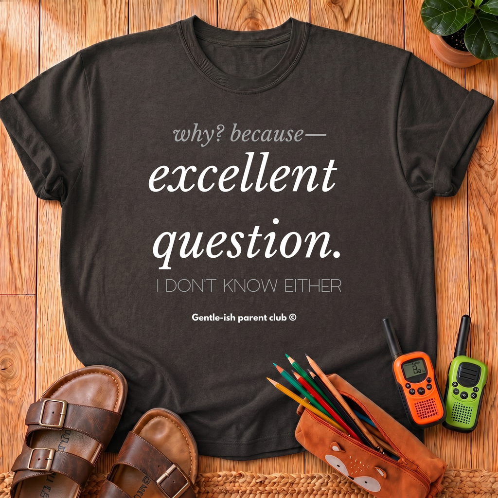 Excellent Question T-Shirt