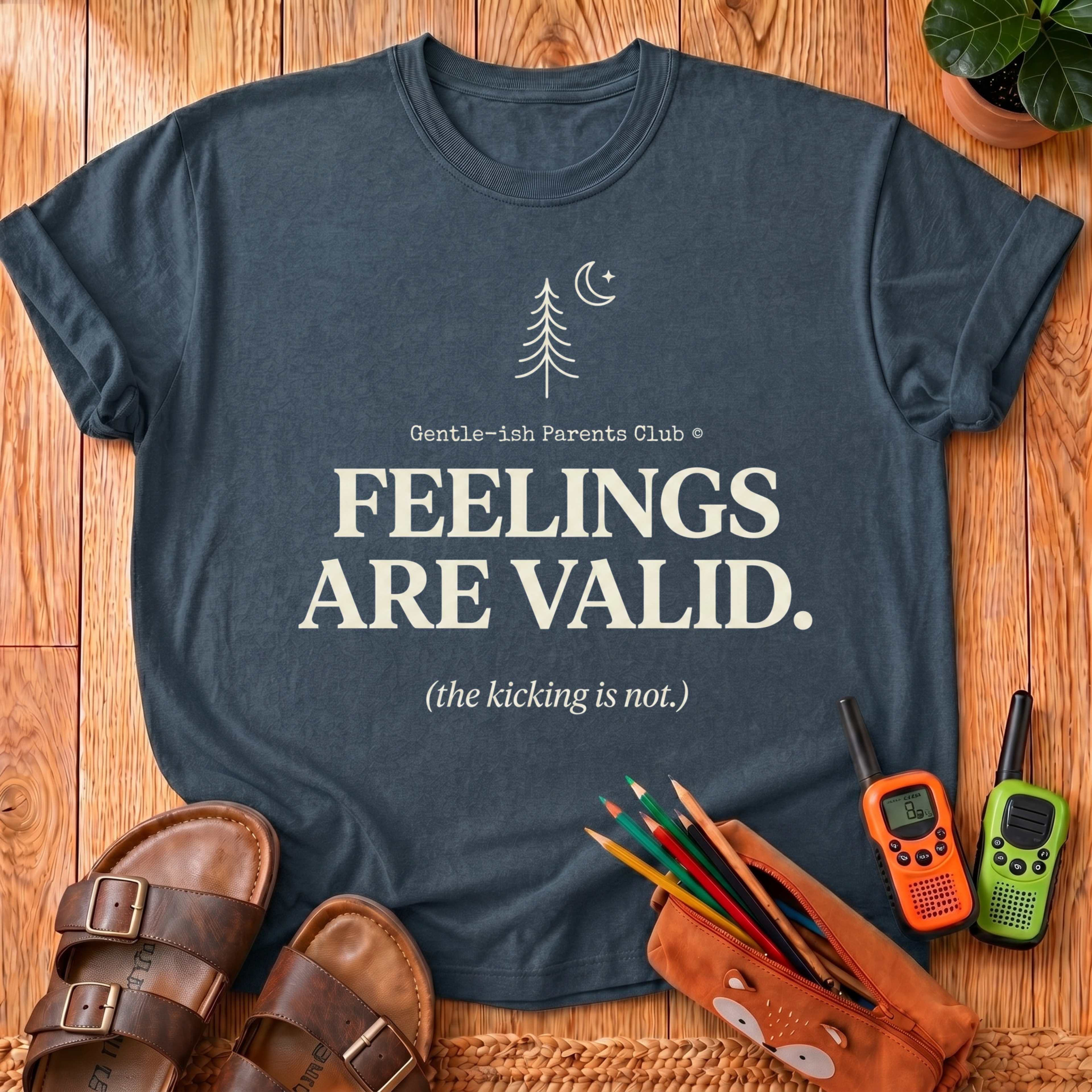Feelings Are Valid T- Shirt
