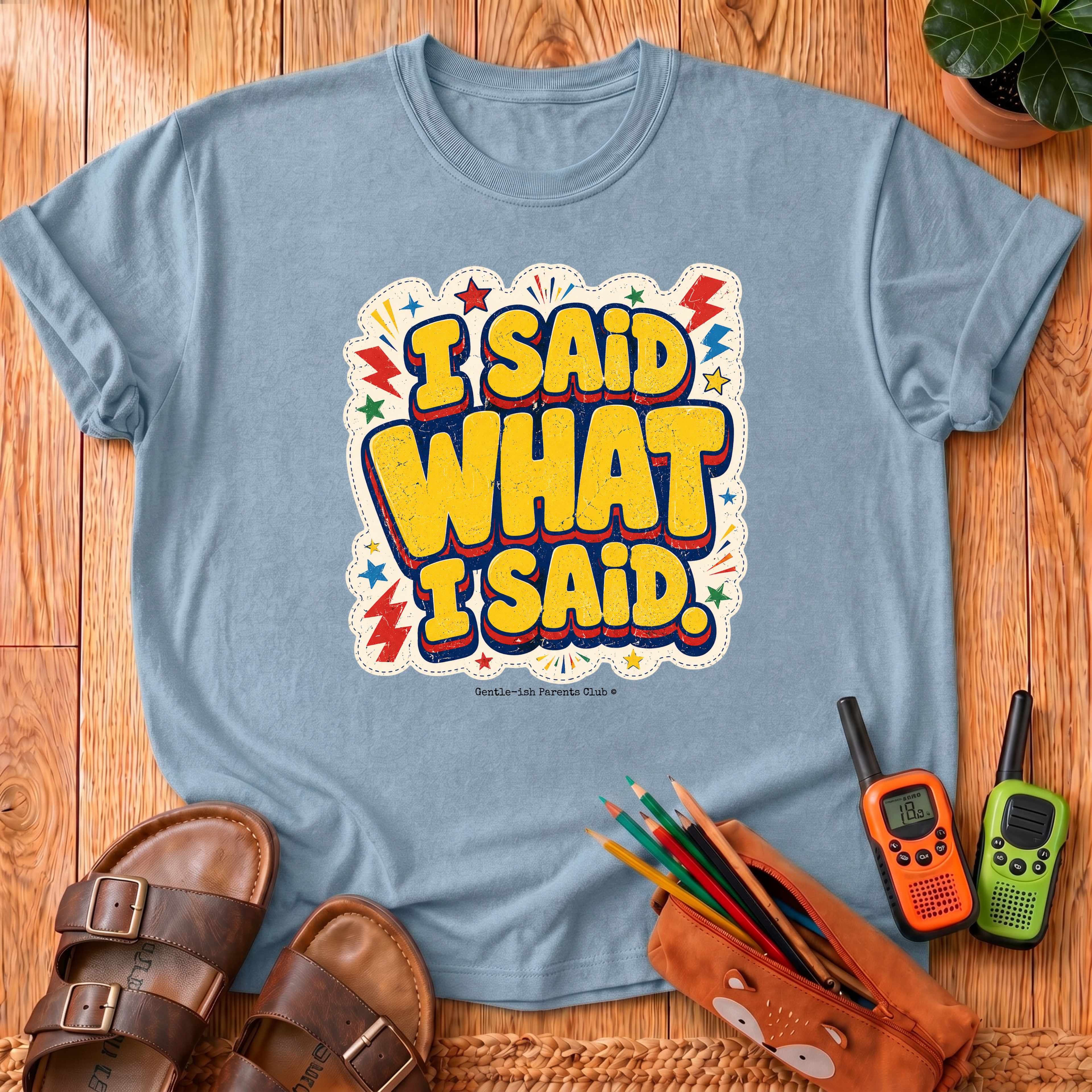 I Said What I Said T-Shirt