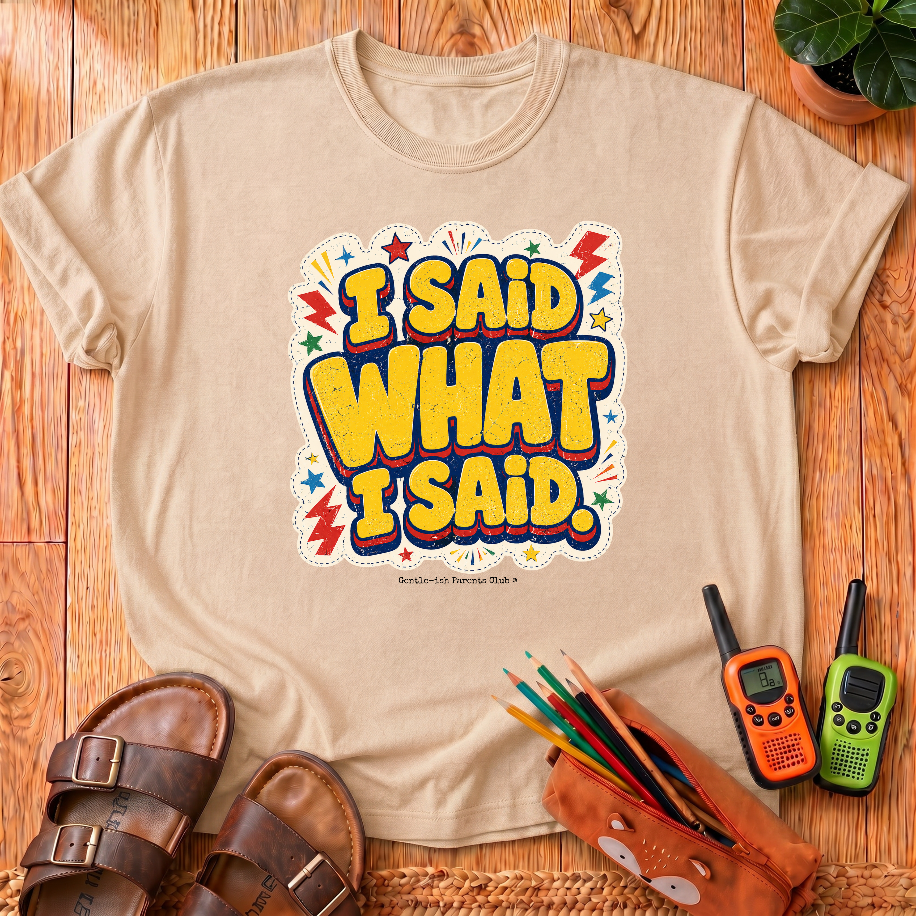 I Said What I Said T-Shirt