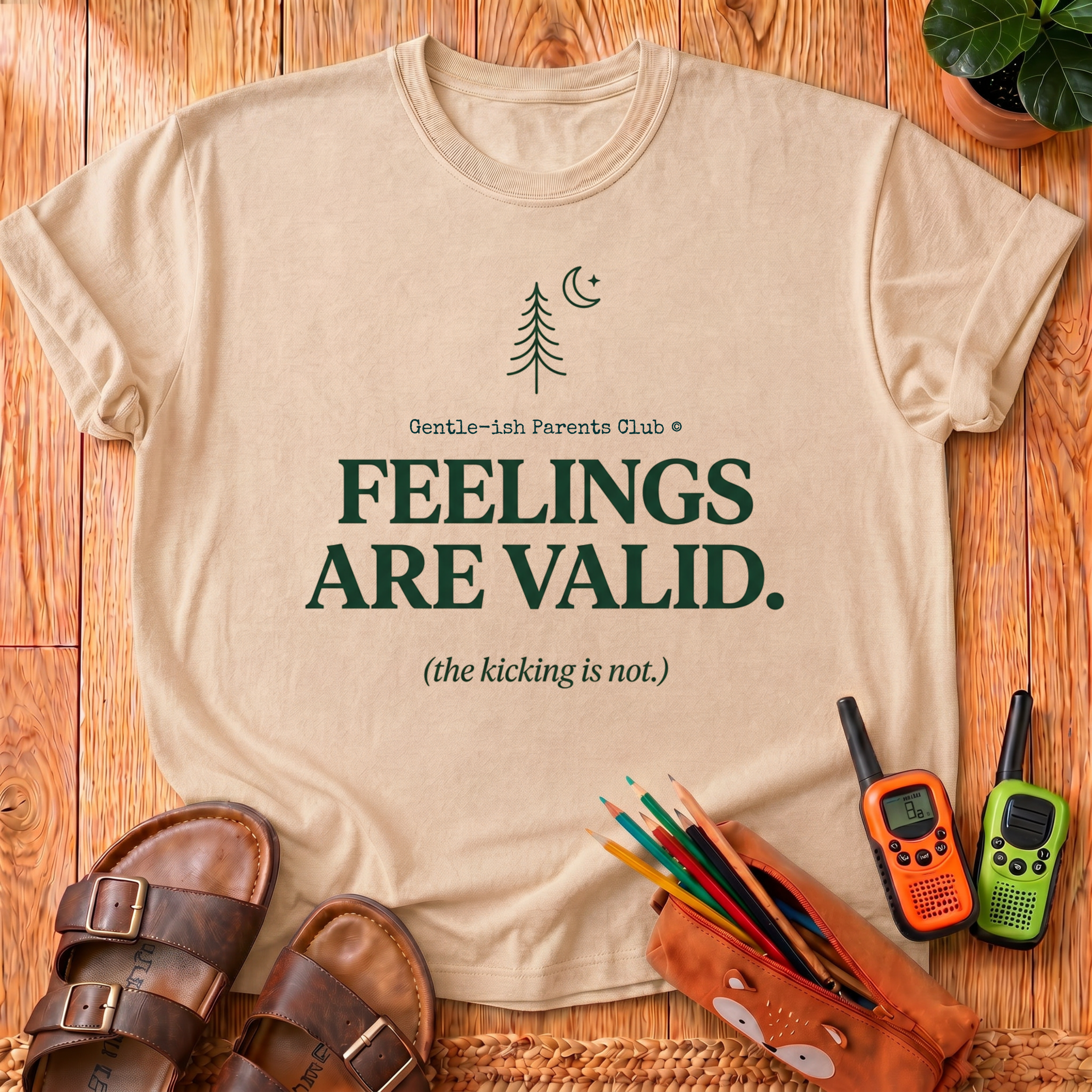 Feelings Are Valid T- Shirt
