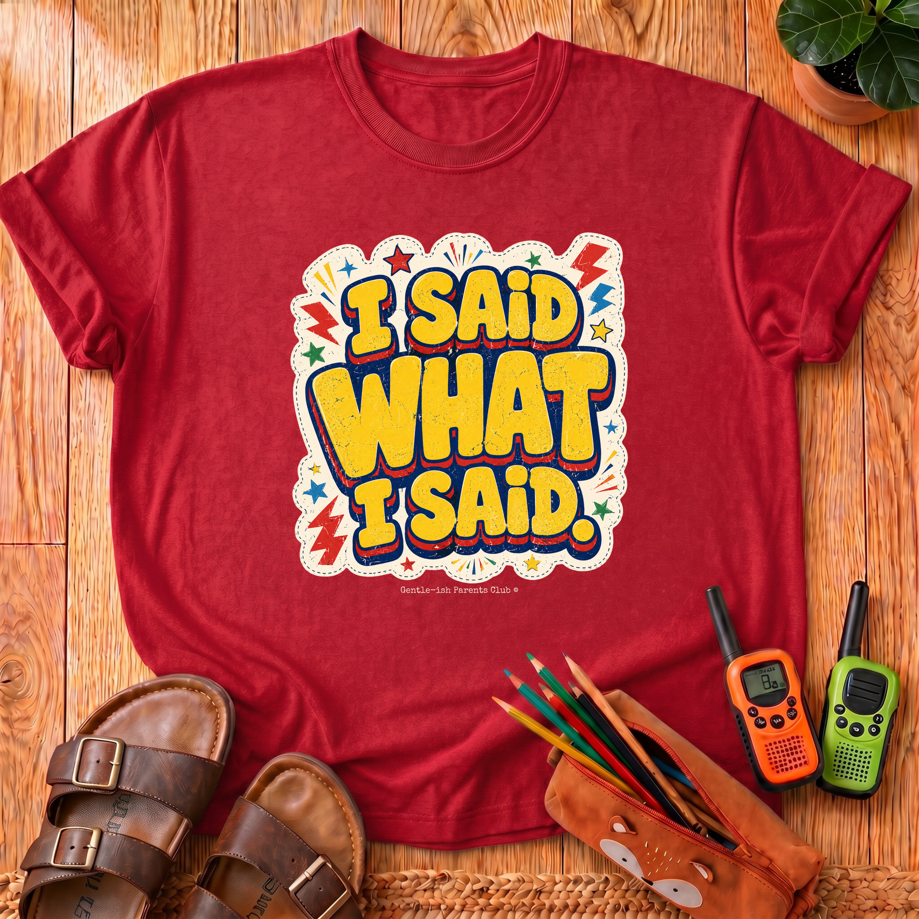 I Said What I Said T-Shirt