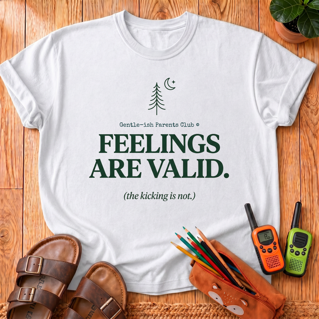 Feelings Are Valid T- Shirt